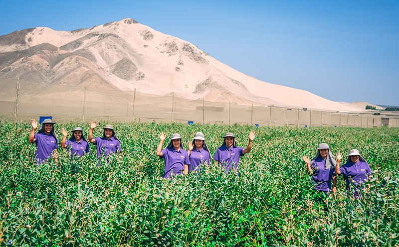 一带一路 · 绽放共荣新篇