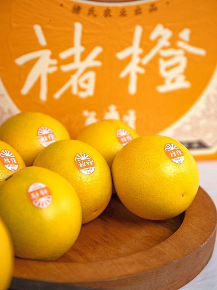 1761814396996820.png 9J6A8242 - 副本.png