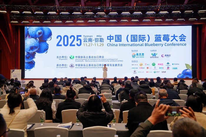 1765854060409128.jpg 1.jpg