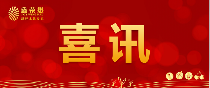 果业数智引领！鑫荣懋集团双榜蝉联“中国服务业企业500强” “深圳企业500强”