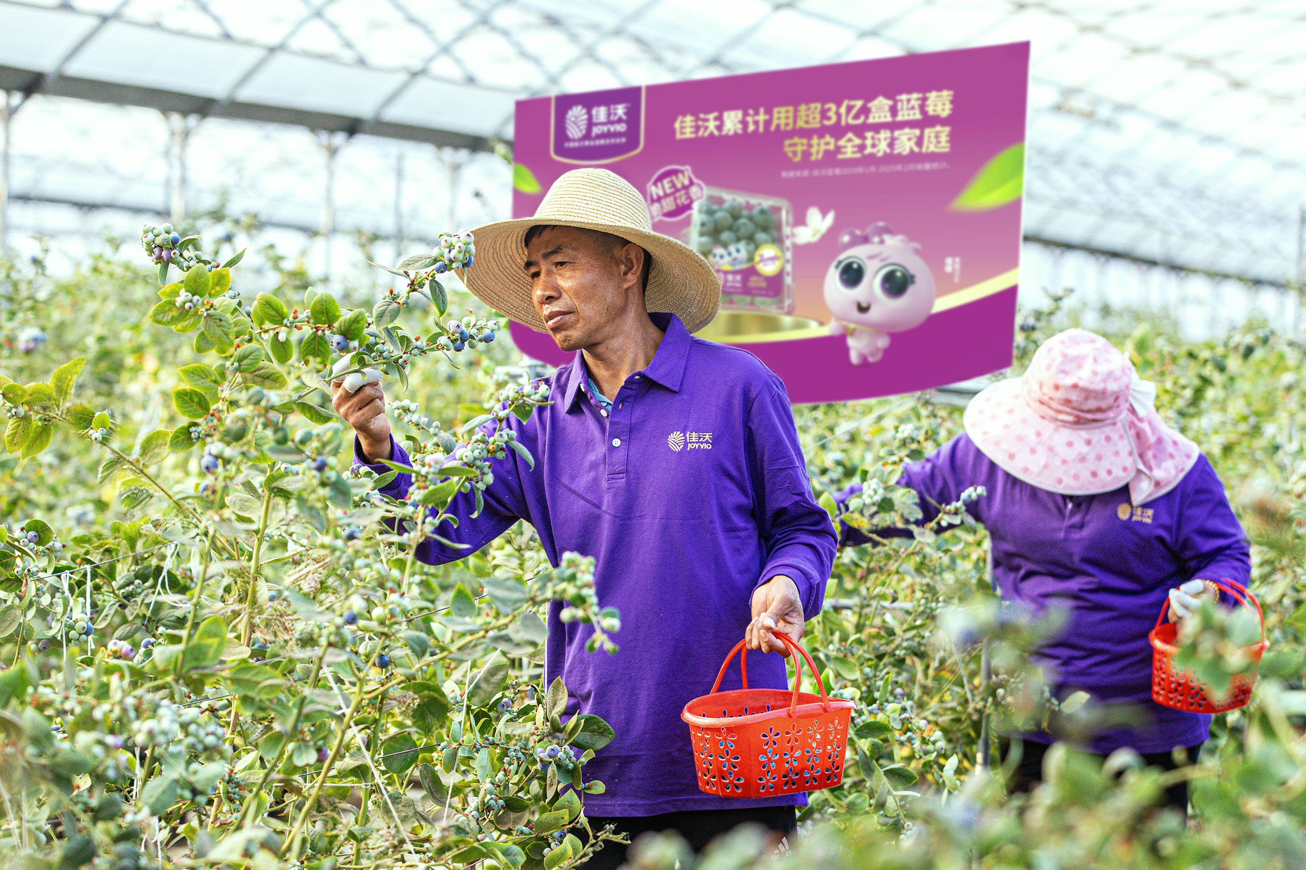 《植物新品种保护条例》修订公布，力促水果种业创新发展